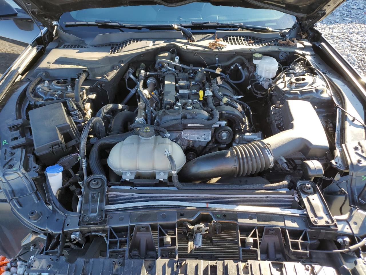 2023 FORD MUSTANG  VIN:1FA6P8TH4P5106671