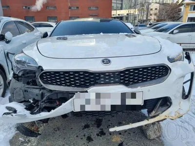 2020 Kia Stinger VIN: