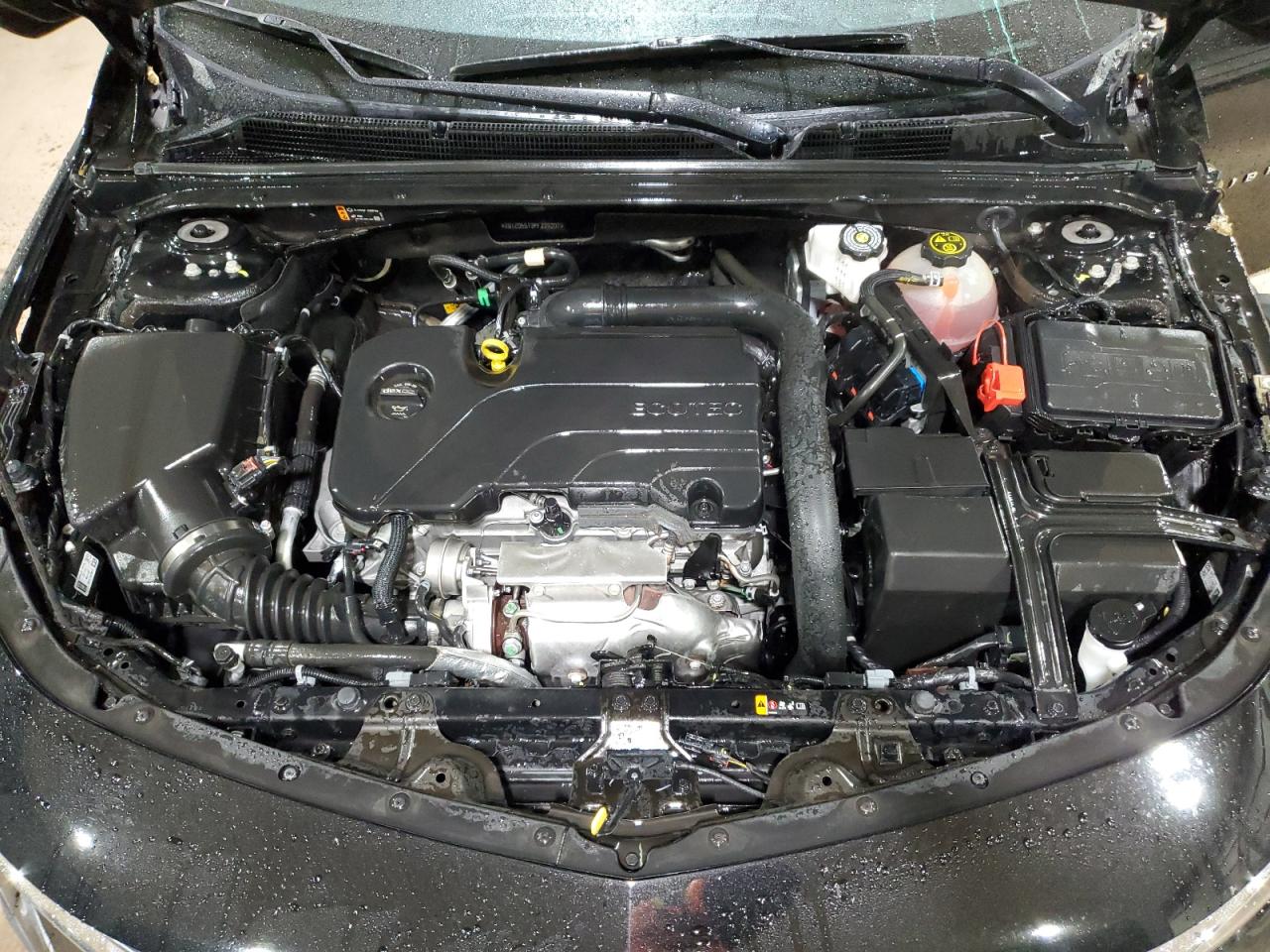 2023 CHEVROLET MALIBU LT VIN:1G1ZD5ST3PF229207