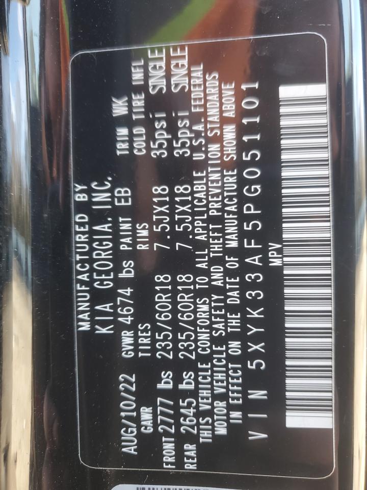 2023 KIA SPORTAGE EX VIN:5XYK33AF5PG051101