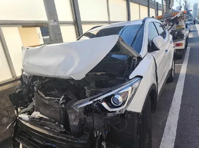 2018 Hyundai Santa FE KMHSW81UBJU843541 VIN:KMHSW81UBJU843541