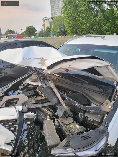 2019 Hyundai Santa FE KMHS381ABLU193107 VIN:KMHS381ABLU193107