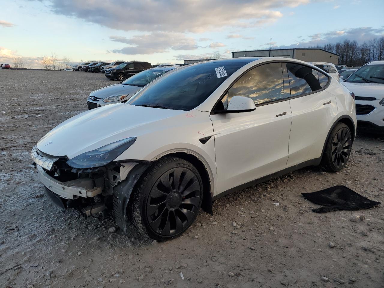 2022 TESLA MODEL Y  VIN:7SAYGDEF5NF554455