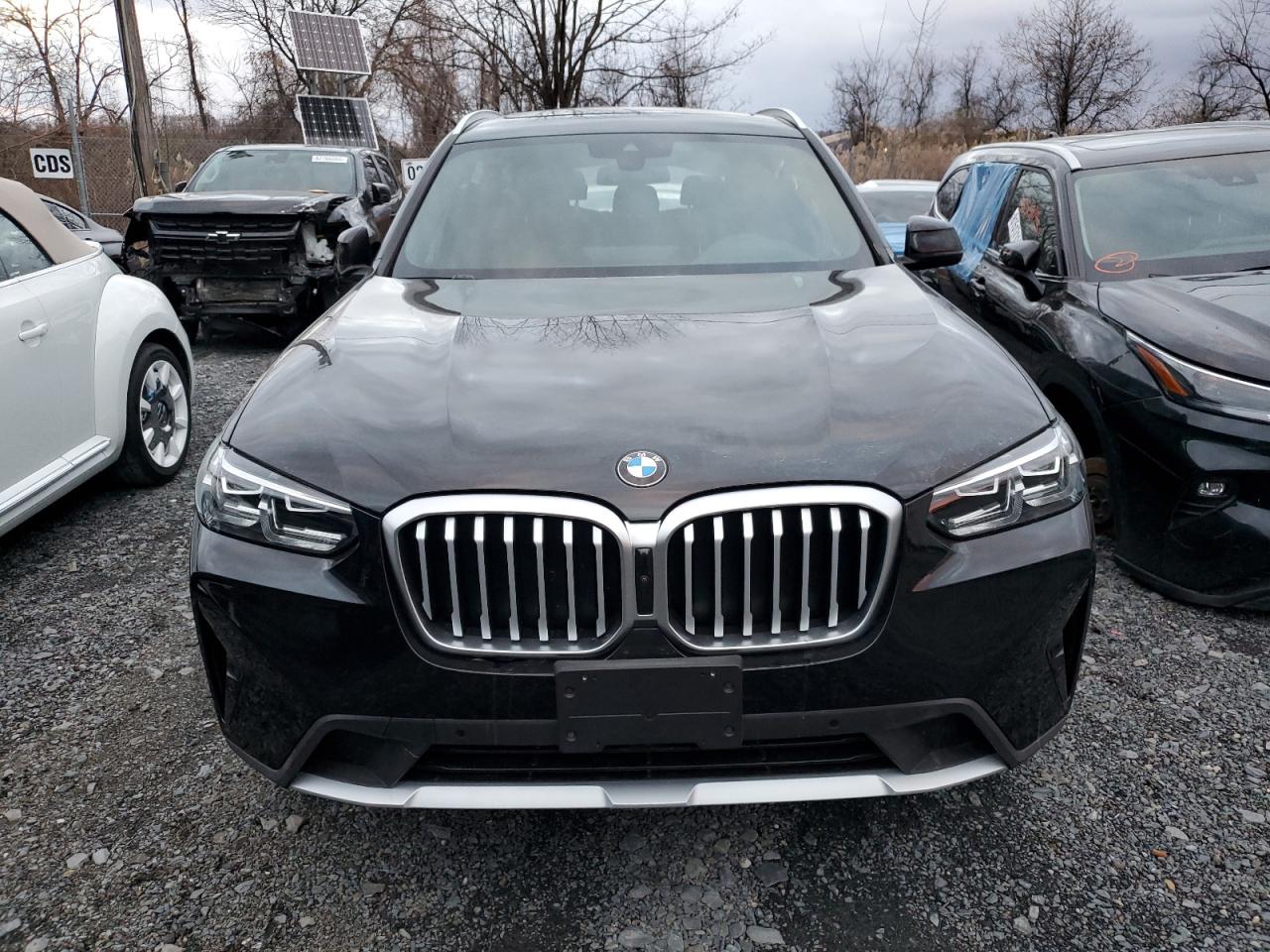 2023 BMW X3 XDRIVE30I VIN:5UX53DP00P9S48442