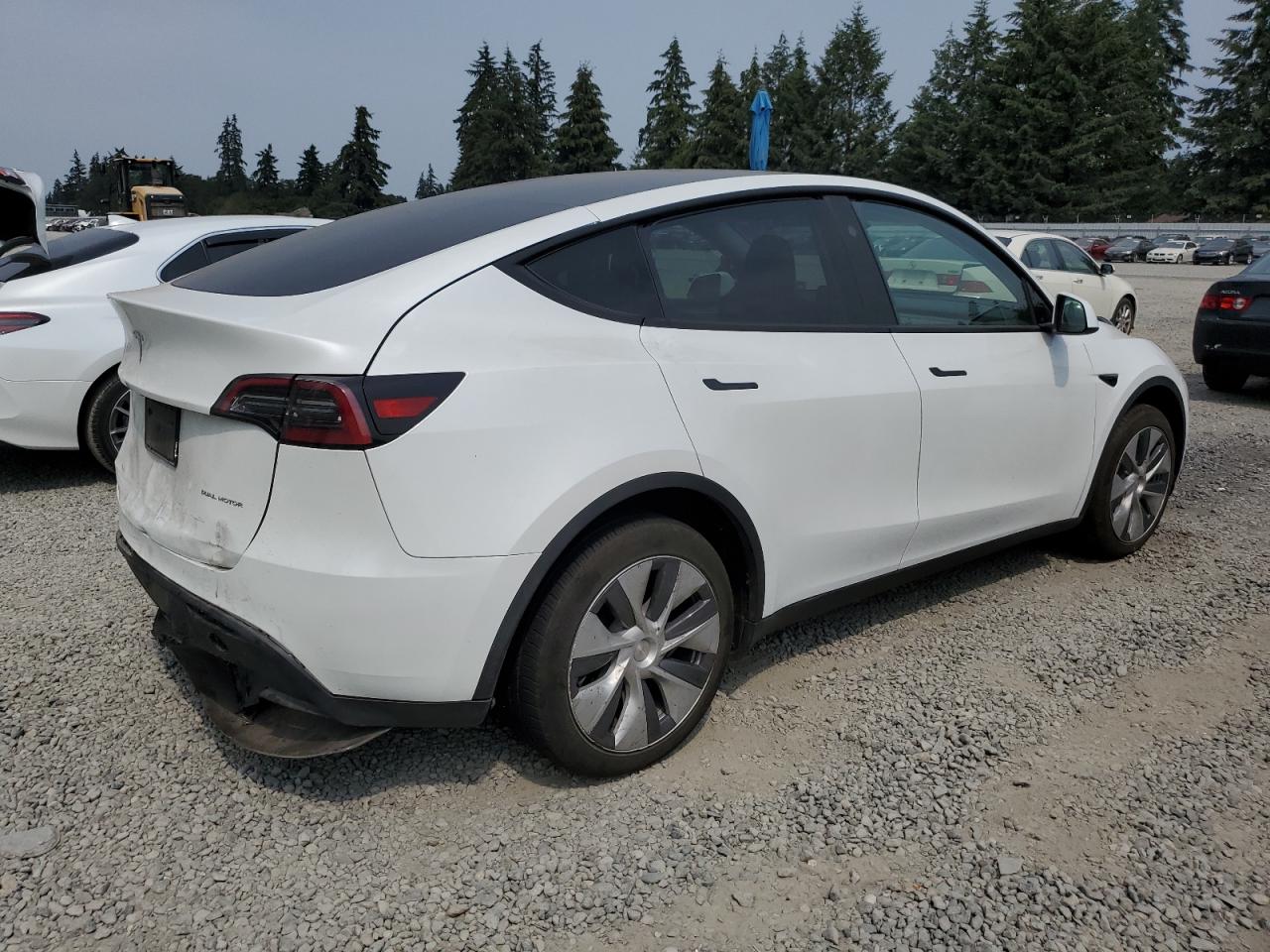 2023 TESLA MODEL Y  VIN:7SAYGDEE9PF910951