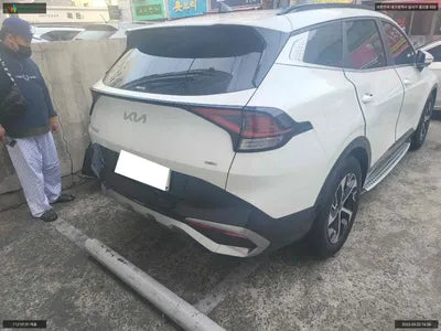 2022 Kia Sportage KNAPW81GBNK007650 VIN:KNAPW81GBNK007650