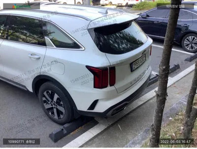 2020 Kia Sorento KNARL81BGMA061716 VIN:KNARL81BGMA061716