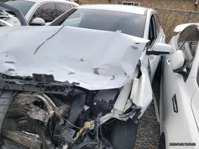 2019 Hyundai Kona KMHK4815GKU400685 VIN:KMHK4815GKU400685