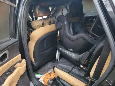 2021 Kia Sorento KNARK81BHNA116251 VIN:KNARK81BHNA116251