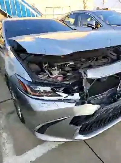 2019 Lexus ES 300 JTHB21B12K2049785 VIN:JTHB21B12K2049785