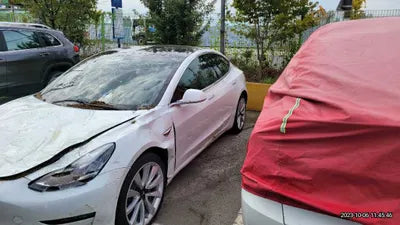 2020 Tesla Model 3 5YJ3E1EB0LF725098 VIN:5YJ3E1EB0LF725098