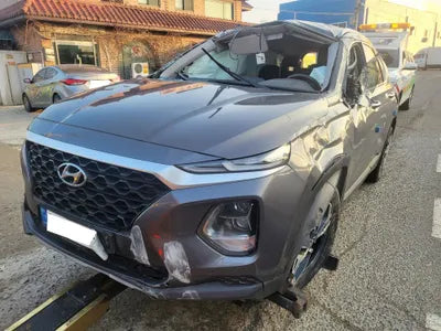 2019 Hyundai Santa FE KMHS281BBKU176211 VIN:KMHS281BBKU176211
