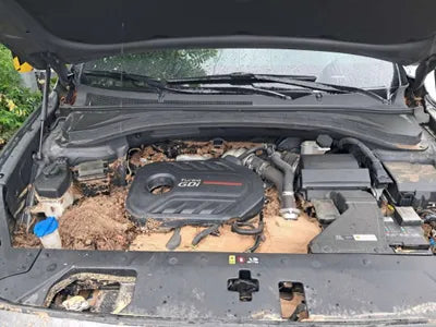2020 Hyundai Santa FE KMHS281ABLU287541 VIN:KMHS281ABLU287541