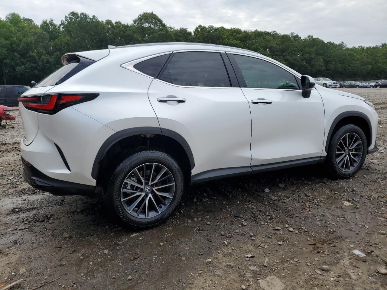 2024 LEXUS NX 250 PREMIUM VIN:2T2GDCAZ3RC011025