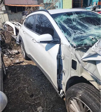 2018 Hyundai Kona KMHK3816GJU138362 VIN:KMHK3816GJU138362