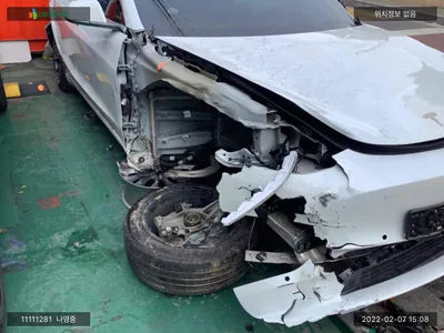 2019 Tesla Model 3 5YJ3E1EB3LF585774 VIN:5YJ3E1EB3LF585774
