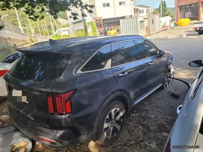 2021 Kia Sorento KNARH81BGMA100573 VIN:KNARH81BGMA100573