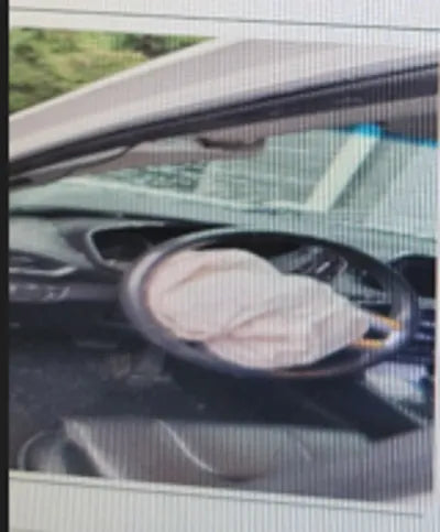 2019 Hyundai Santa FE 1KMHS281BDKU14560 VIN:1KMHS281BDKU14560