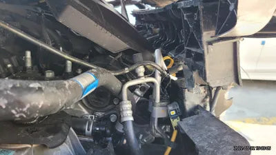 2020 Kia Carnival KNANE813BMS036399 VIN:KNANE813BMS036399