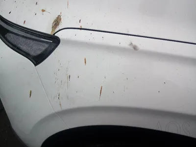 2021 Hyundai Santa FE KMHS381HGMU336284 VIN:KMHS381HGMU336284