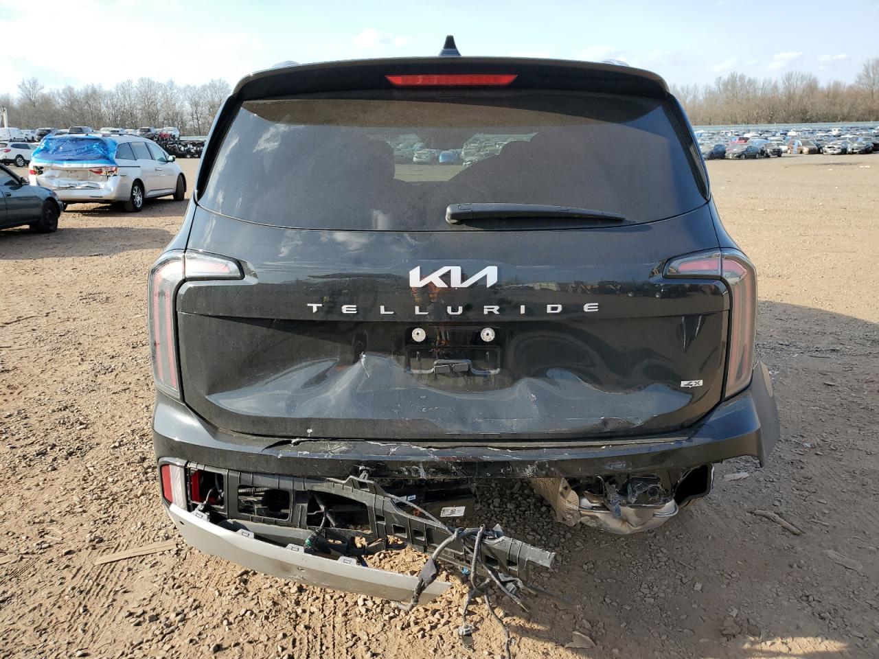 2024 KIA TELLURIDE EX VIN:5XYP3DGC2RG426177