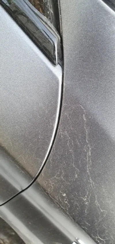 2017 BMW 520 WBAJC3101HG991267 VIN:WBAJC3101HG991267