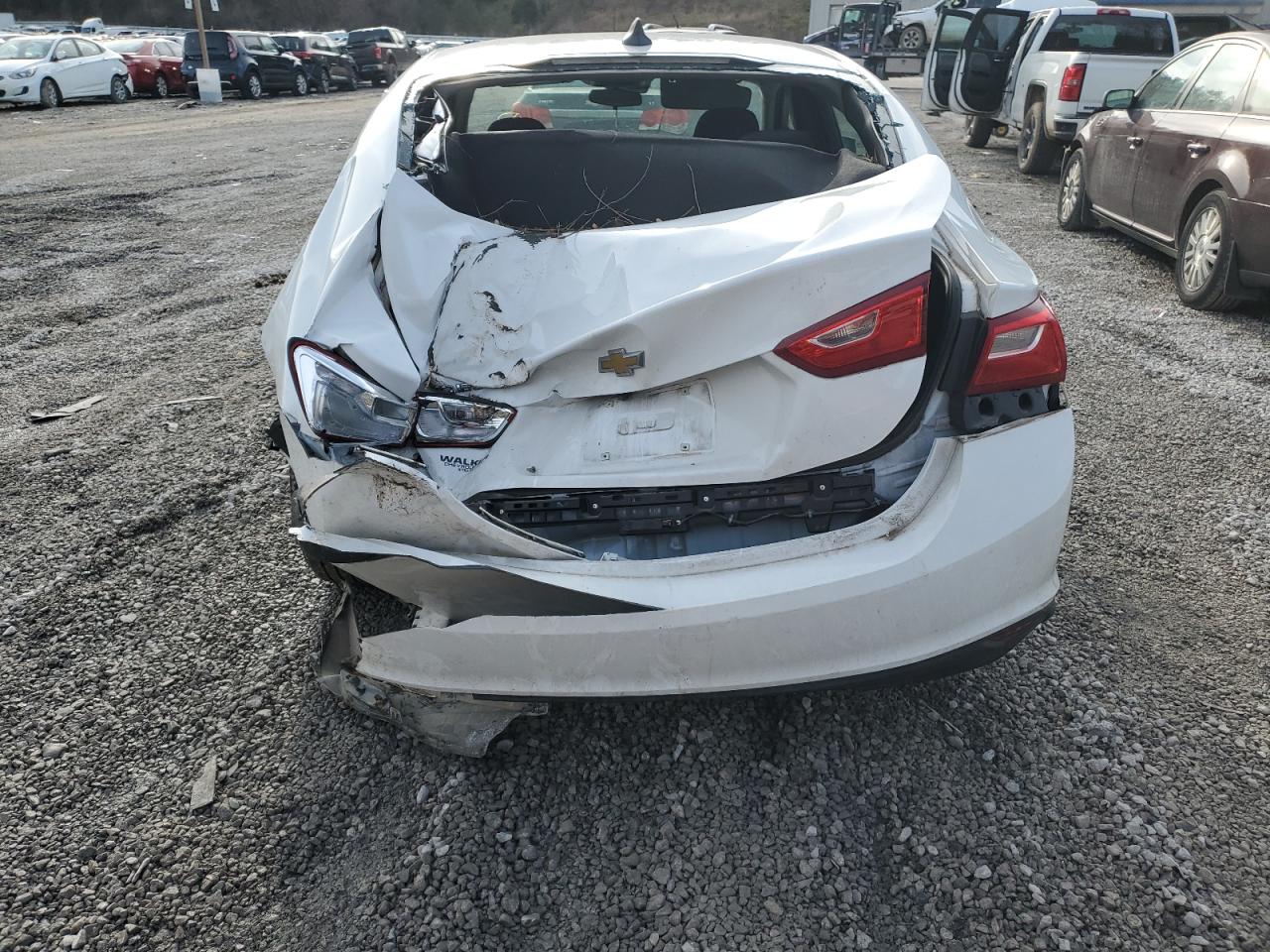 2023 CHEVROLET MALIBU LS VIN:1G1ZC5ST8PF113925