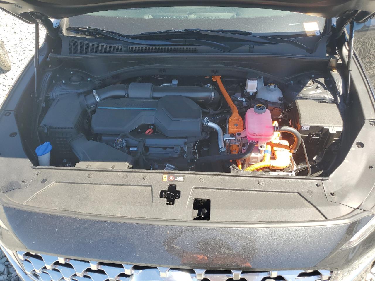 2023 HYUNDAI SANTA FE LIMITED VIN:5NMS5DA17PH023391