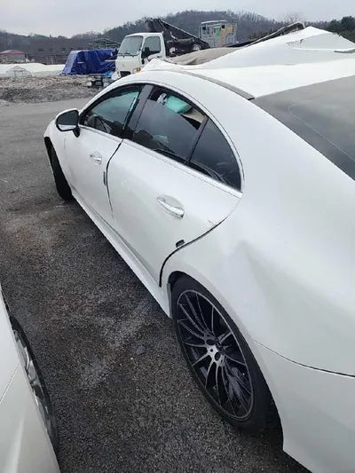 2019 Mercedes-Benz CLS 450 VIN: