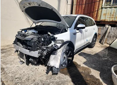 2021 Kia Sorento KNARH81BGMA036615 VIN:KNARH81BGMA036615