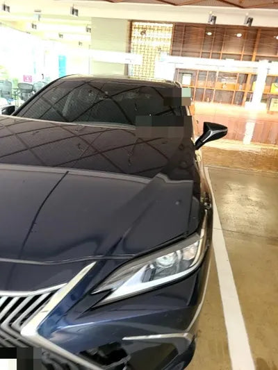 2021 Lexus ES 300 JTHBA1C14M2003380 VIN:JTHBA1C14M2003380