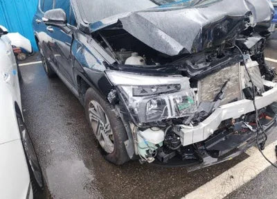 2021 Hyundai Santa FE KMHS381HGMU346731 VIN:KMHS381HGMU346731