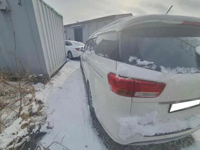 2016 Kia Carnival KNAMB81ABGS176969 VIN:KNAMB81ABGS176969