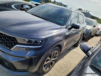 2022 Kia Sorento KNARK81BGNA118625 VIN:KNARK81BGNA118625