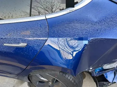 2020 Tesla Model 3 5YJ3E1EB7LF808981 VIN:5YJ3E1EB7LF808981