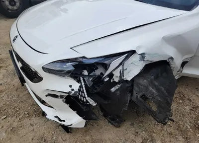 2019 Kia Stinger KNAE651BDKS045522 VIN:KNAE651BDKS045522