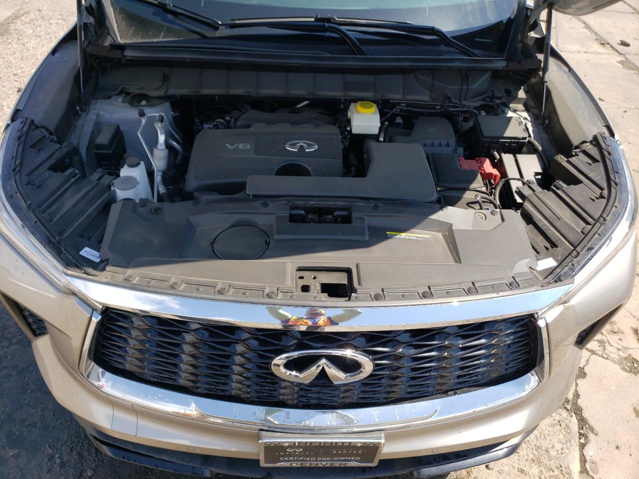 2023 INFINITI QX60 LUXE VIN:5N1DL1FS3PC355062