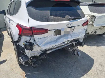 2019 Hyundai Santa FE KMHS281BDLU257047 VIN:KMHS281BDLU257047