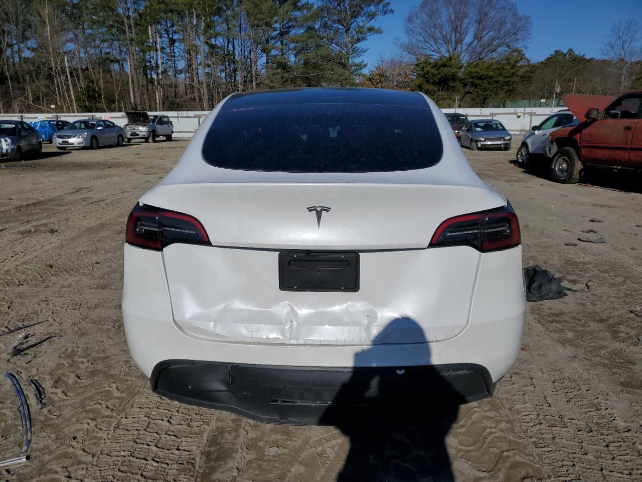 2024 TESLA MODEL Y  VIN:7SAYGDED1RF169639