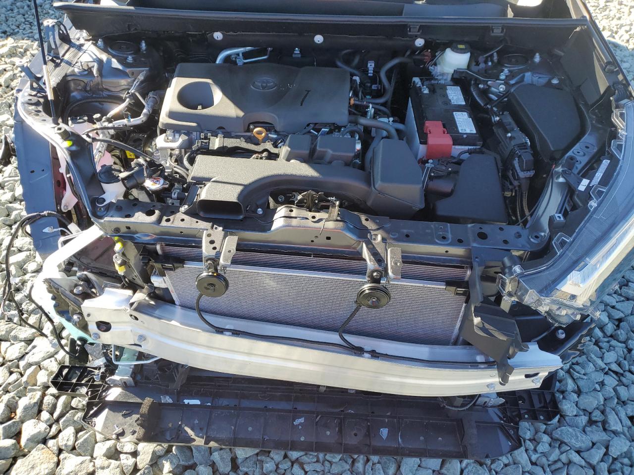 2024 TOYOTA RAV4 XLE VIN:2T3W1RFV6RC299793