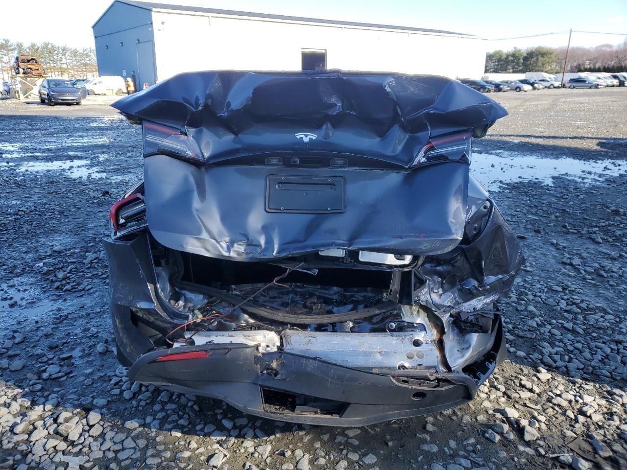 2023 TESLA MODEL Y  VIN:7SAYGDED7PF923057