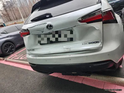 2015 Lexus NX 300 VIN: