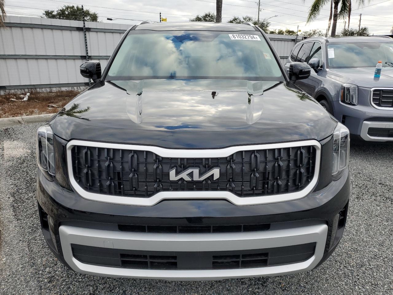 2024 KIA TELLURIDE EX VIN:5XYP34GC8RG544010