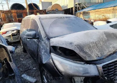 2019 Kia Carnival KNAME811BKS457507 VIN:KNAME811BKS457507