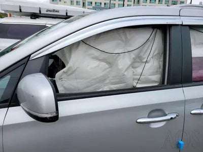 2017 Kia Carnival KNAMB81ABJS356898 VIN:KNAMB81ABJS356898