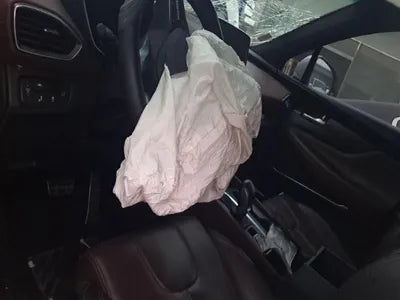 2019 Hyundai Santa FE KMHS581CBKU081567 VIN:KMHS581CBKU081567