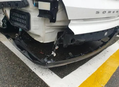 2021 Kia Sorento KNARH81FGMA090596 VIN:KNARH81FGMA090596