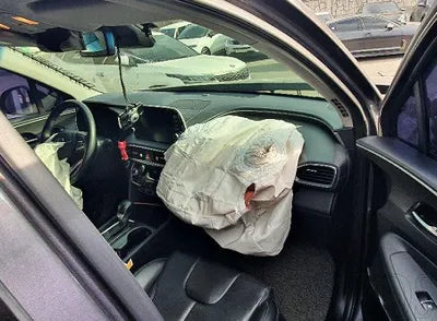 2019 Hyundai Santa FE KMHS381ABKU120945 VIN:KMHS381ABKU120945