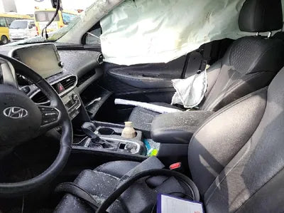 2020 Hyundai Santa FE KMHS381BDLU264845 VIN:KMHS381BDLU264845