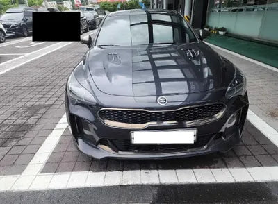2018 Kia Stinger KNAE351BDJS028982 VIN:KNAE351BDJS028982